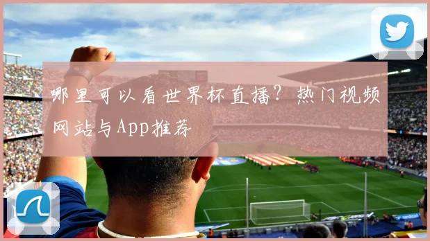 哪里可以看世界杯直播？热门视频网站与App推荐