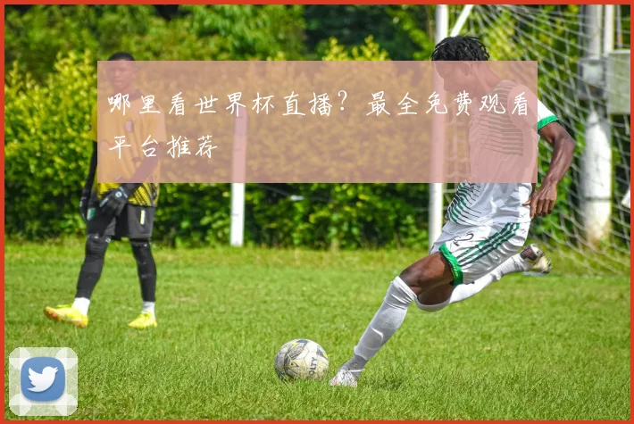 哪里看世界杯直播？最全免费观看平台推荐