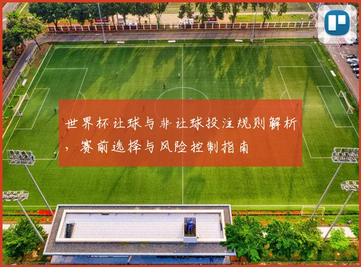 世界杯让球与非让球投注规则解析，赛前选择与风险控制指南