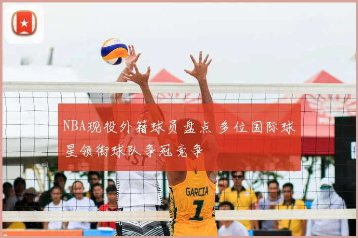 NBA现役外籍球员盘点 多位国际球星领衔球队争冠竞争